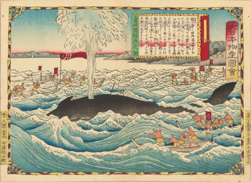 企画展