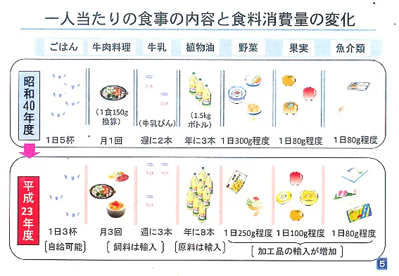 一人当たりの食事の内容と食料消費量の変化