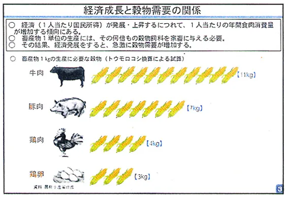 経済成長と穀物需要の関係