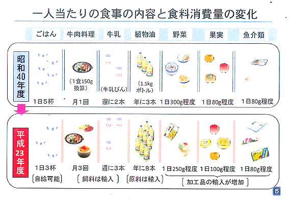 Washoku                「和食」文化の保護・継承活動の報告コーナー