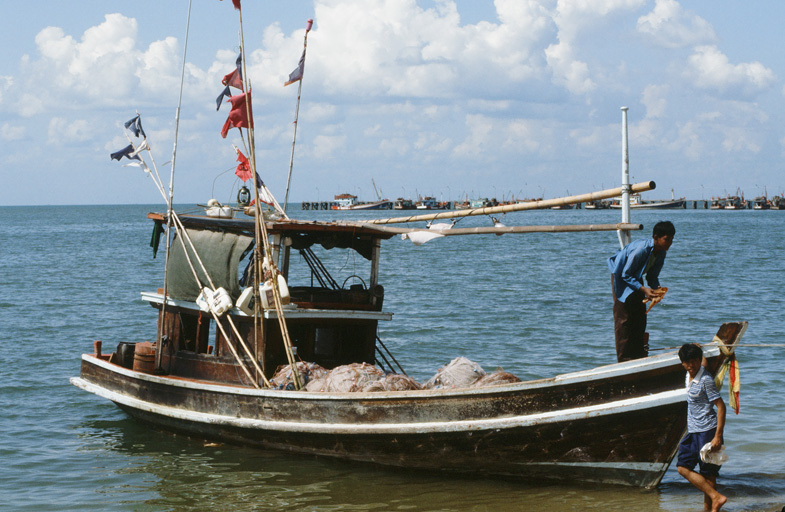 タイの海辺、魚醤の原料となる魚の漁の様子