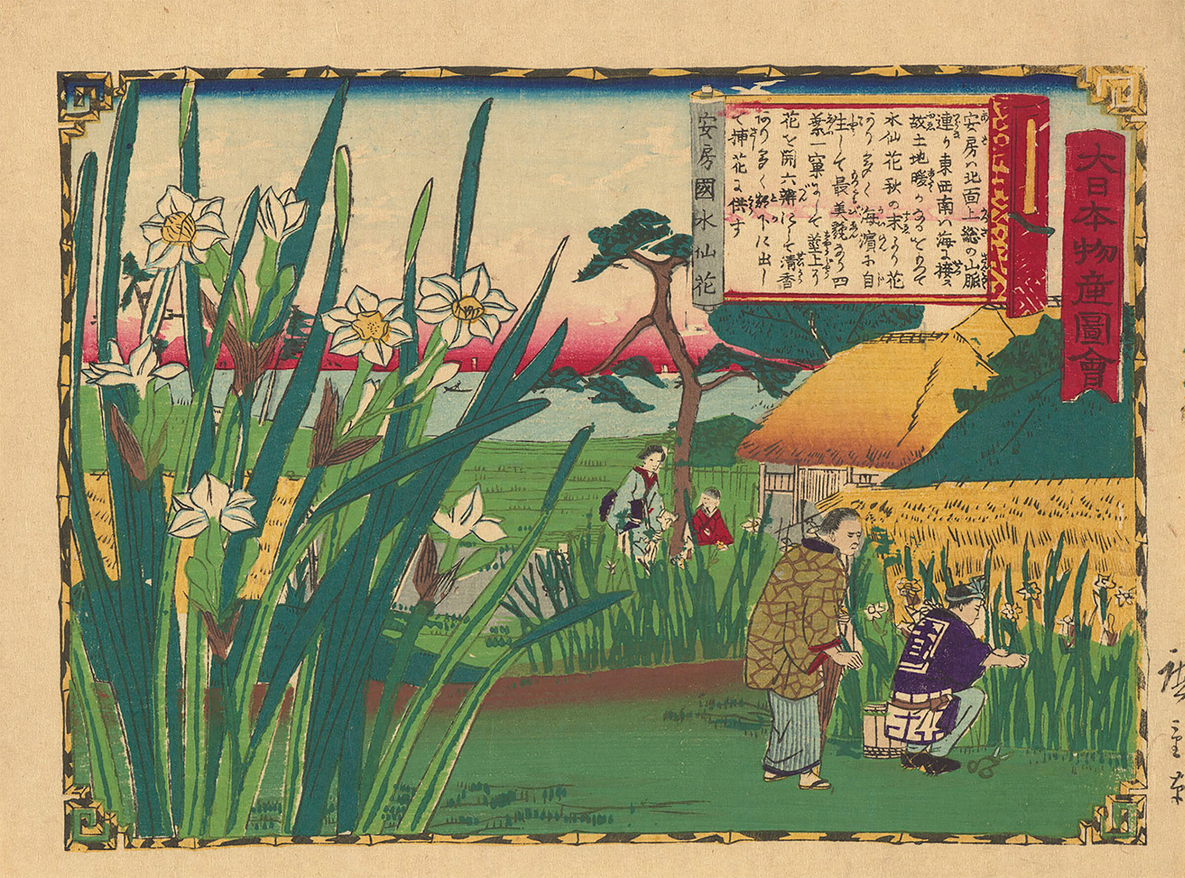 ⼤⽇本物産図会 | 味の素 食の文化センター