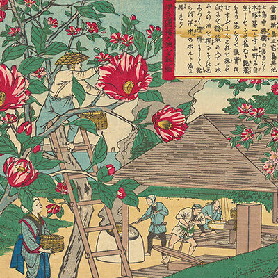 ⼤⽇本物産図会 | 味の素 食の文化センター